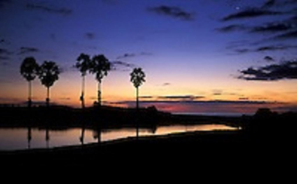Zimbay Guest House Arugam Bay Εξωτερικό φωτογραφία